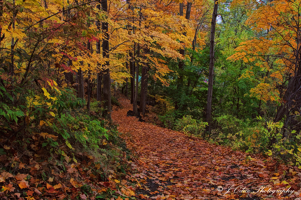 Kennebec Trail