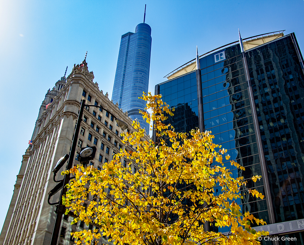 Chicago Autumn