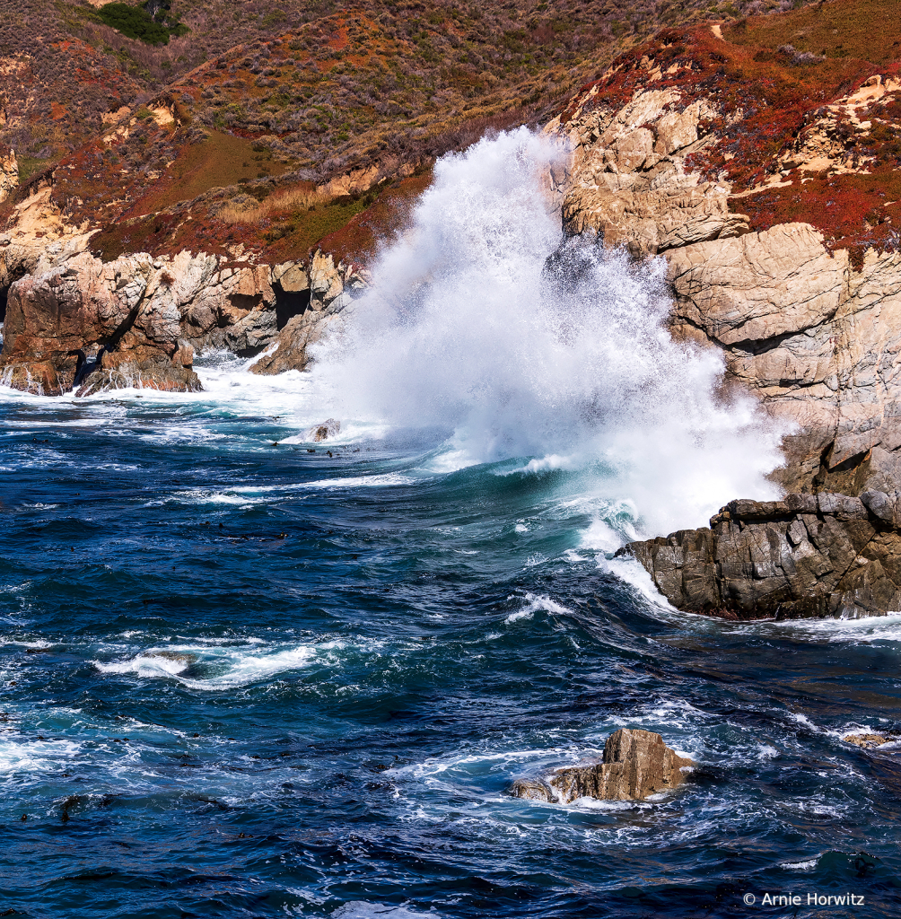 Where Sea Meets Land