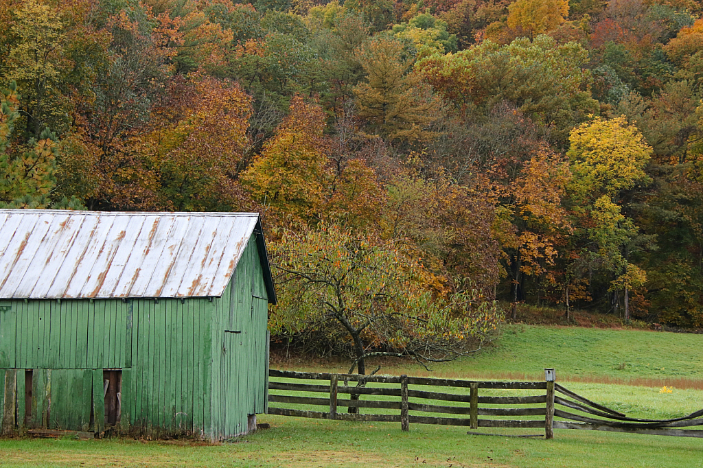 Country Colors