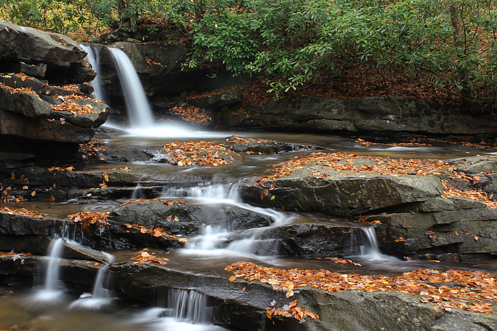 Jonathan Falls