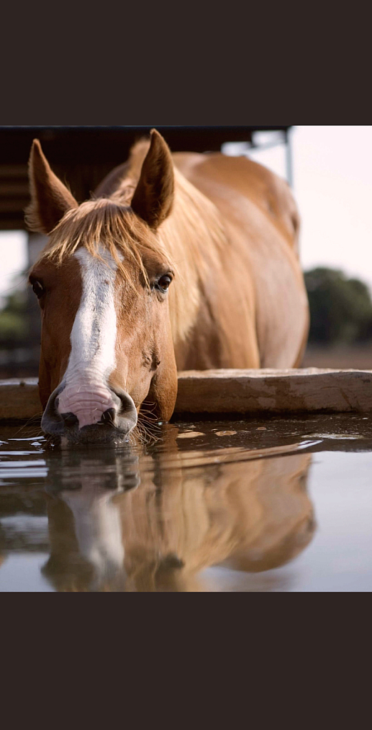 Thirsty