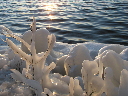 Icy Shore