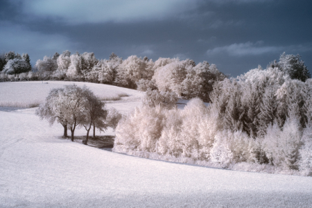 IR Landscape