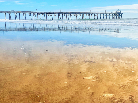 Afternoon Walk At Low Tide