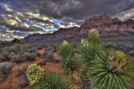 Red Rock Canyon