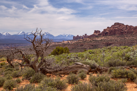 Arches National Park