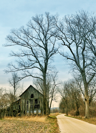 Ozark Winter