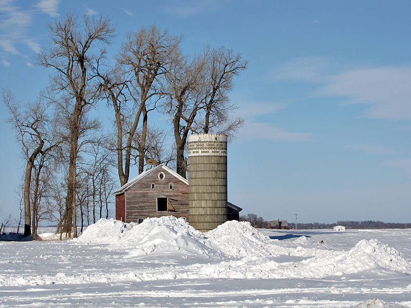 Winter on the Farm