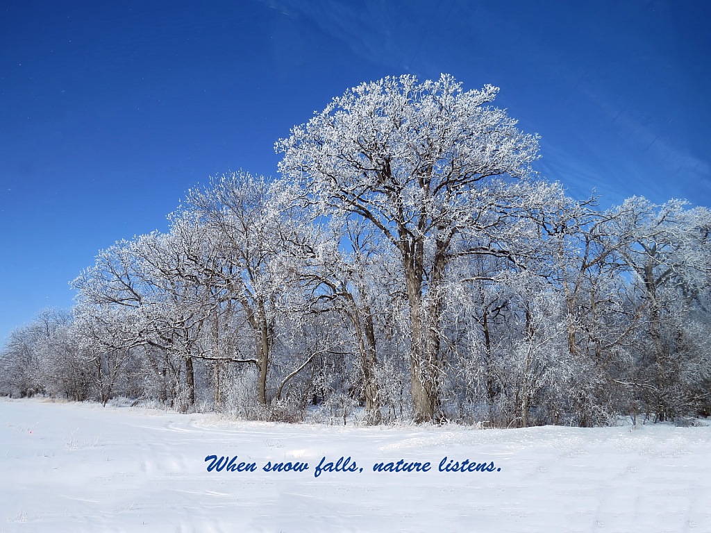 When Snow Falls, Nature Listens