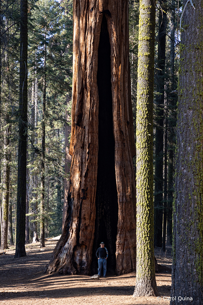 Land of the Giants