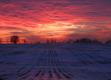 Sensational Sunset