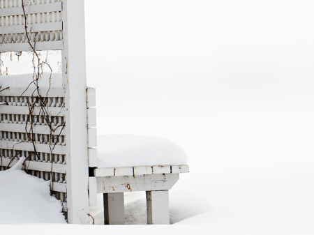 Snow Covered Bench