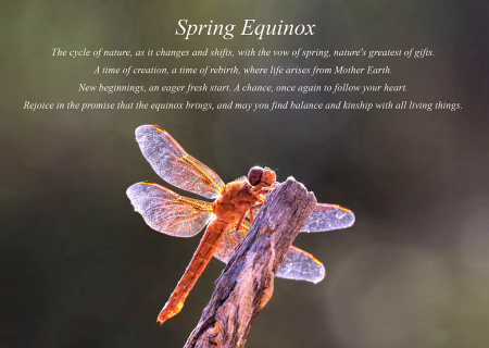 Spring Equinox