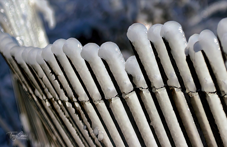 Snow Fence Under Ice