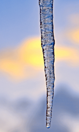 Icicle.