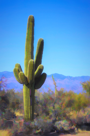 Saguaro Cactus Painting