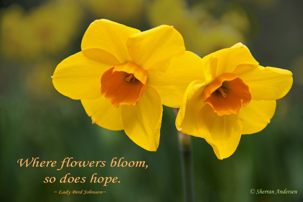 When Flowers Bloom...