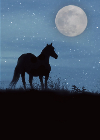 Horse and Moon