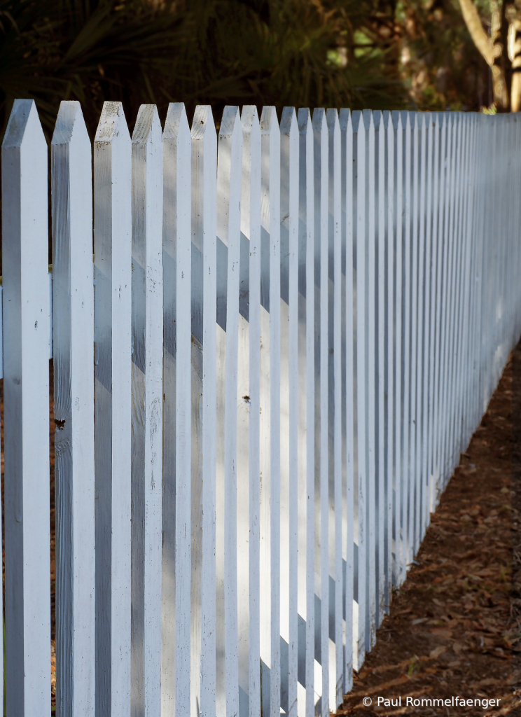 Picket Fence