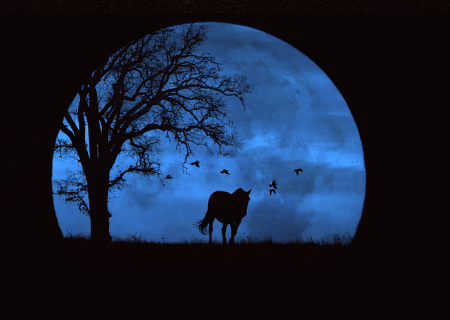 Blue Moon