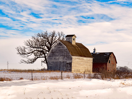 Hwy 18 Barns