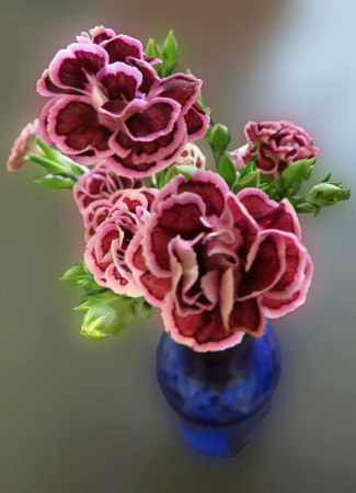 Bouquet On The Table