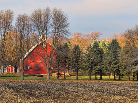 Fall Morning