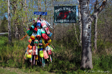 Owl's Head Lobster Co