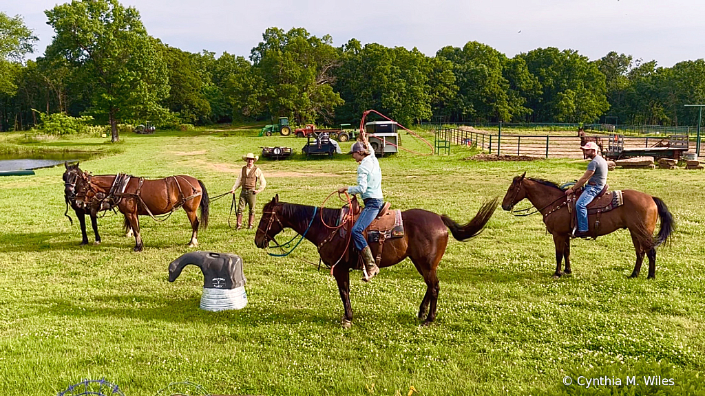 Roping Lessons