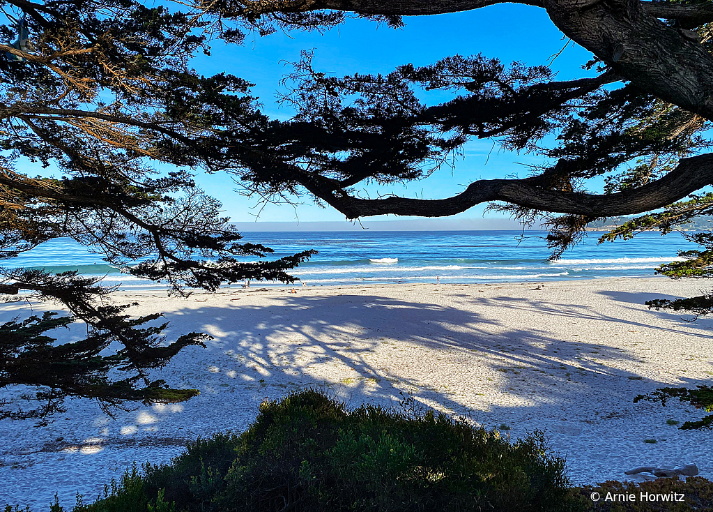 Morning at the Beach