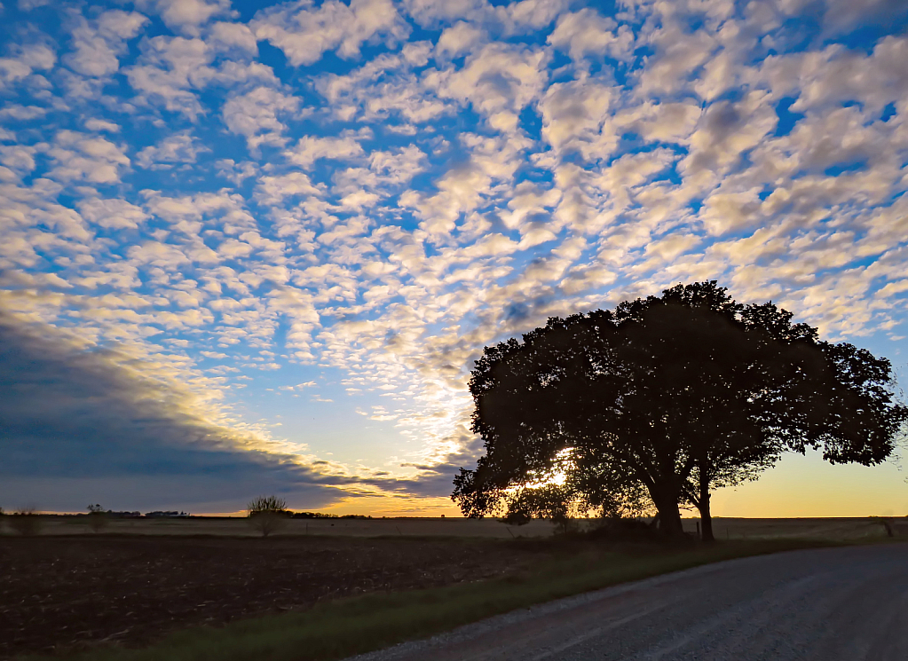 Morning Clouds