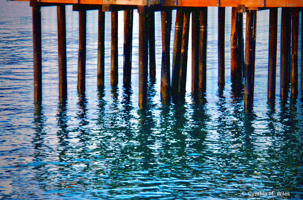 Under the Pier in Monterey, Ca.