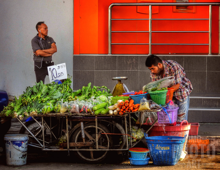 ~ ~ THE PRODUCE SELLER ~ ~ 