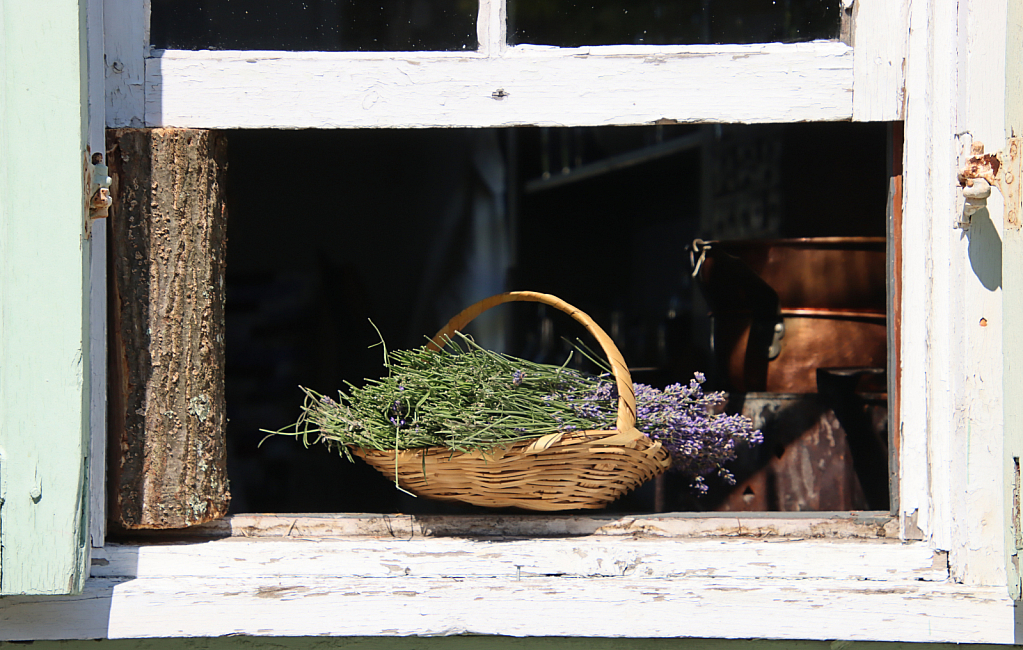 Window Basket