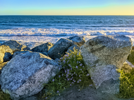 Miramar Beach, CA