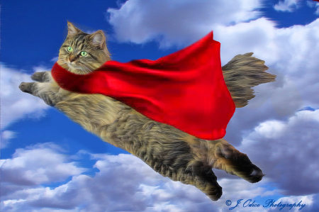Super Kitty!