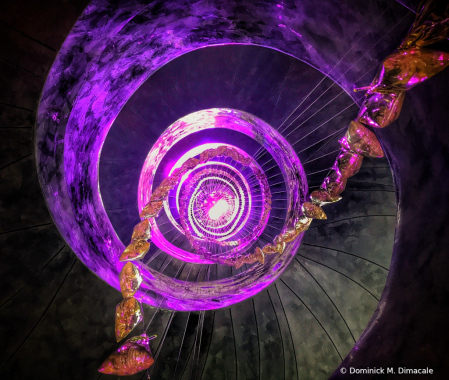 ~ ~ INTO THE SPIRAL GALAXY ~ ~ 