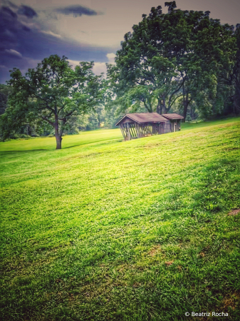 Lost in the Prairie 