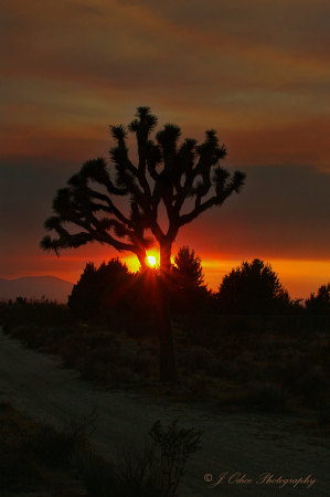 Zaca Fire Sunset