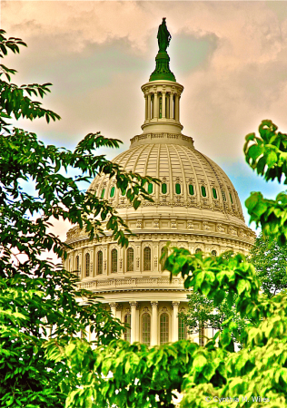 United States Capitol 