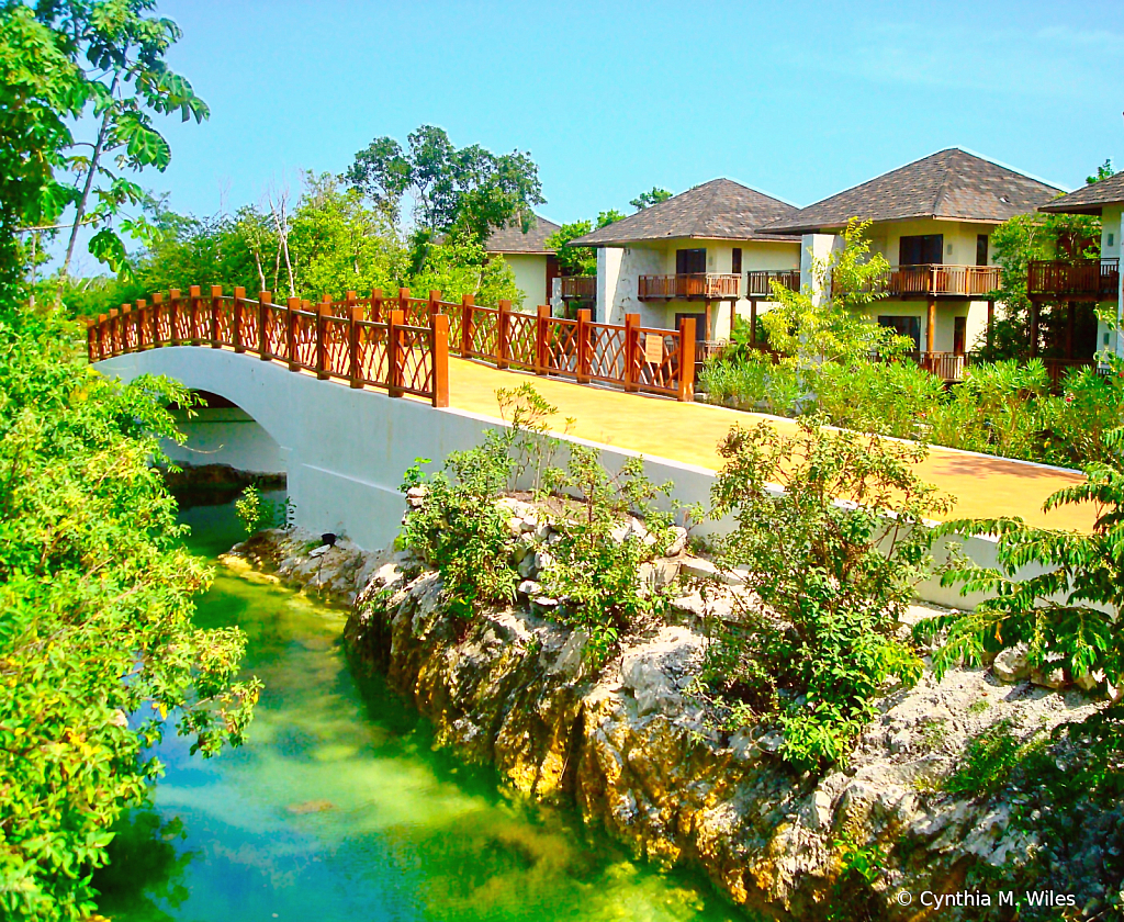 Bridge at the Mayakoba 