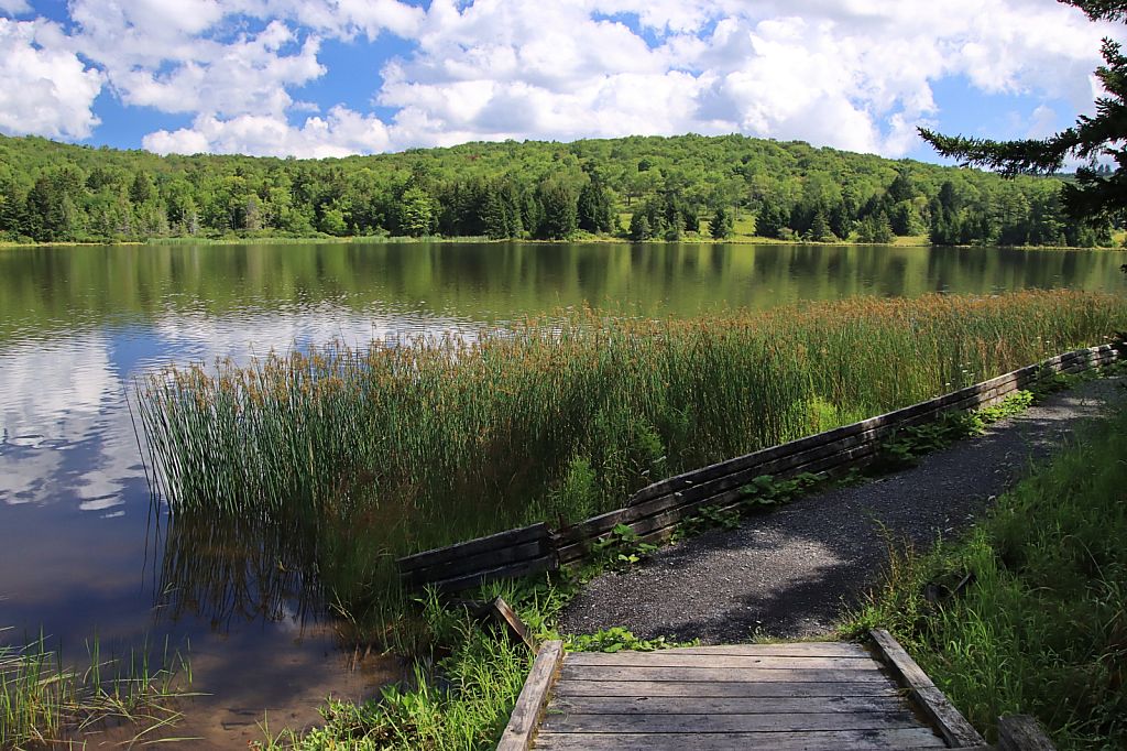 Path Along the Lake