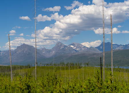 Goal Posts of Glacier