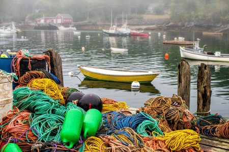 Misty Maine Morning