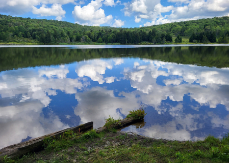 Spruce Knob Lake Reflection