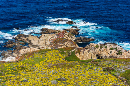 Land and Sea Colors