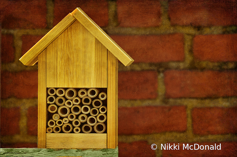 Bee Hotel