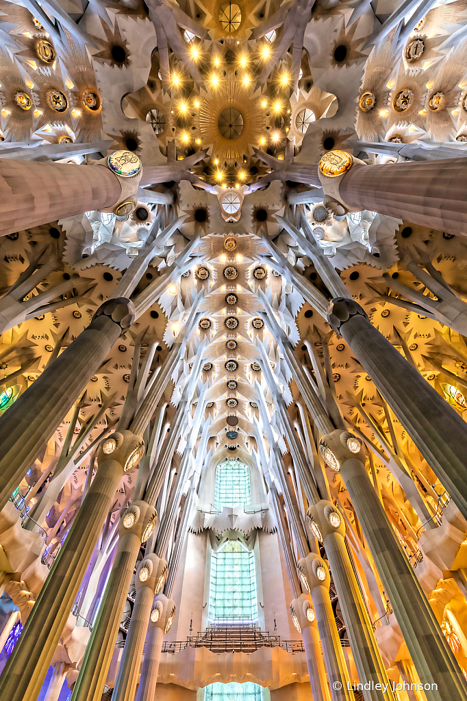 September 2022 Photo Contest Grand Prize Winner - Sagrada Familia Ceiling in Barcelona
