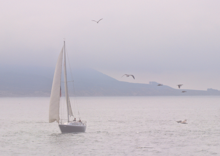 Misty Sail